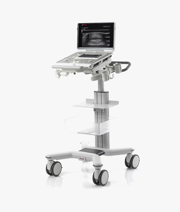 Esaote MyLab™SigmaVET — Ecógrafo Portátil Multidisciplinario
