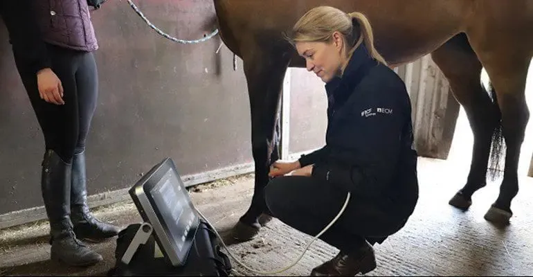 IMV ExaPad — Ecógrafo Inalámbrico Veterinario de Campo miniatura 3