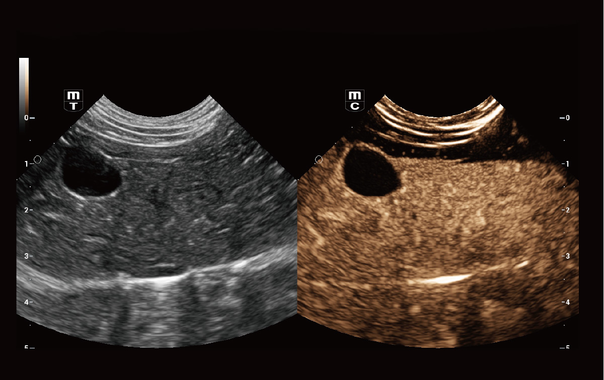 Mindray Vetus 9 — Ecógrafo Veterinario Gama Alta miniatura 4