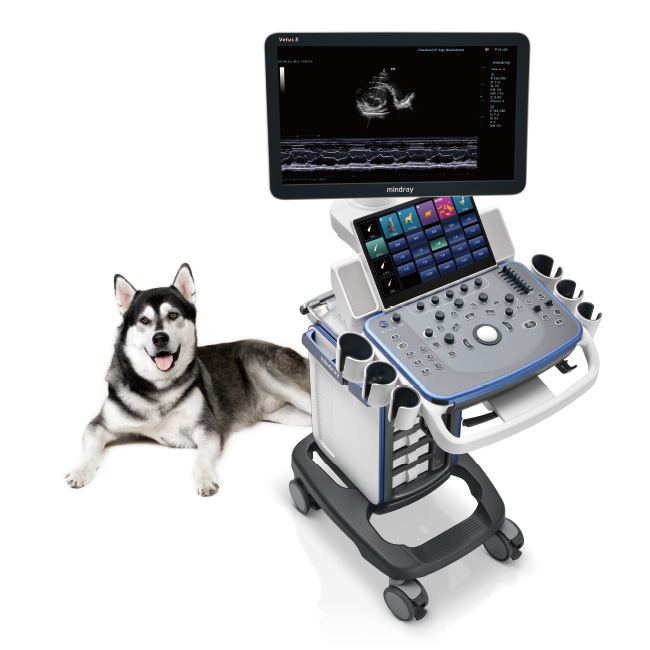 Mindray Vetus 5 — Ecógrafo Veterinario Multifunción