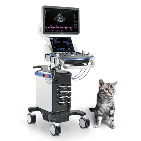 Mindray Vetus 7 — Ecógrafo Veterinario Profesional