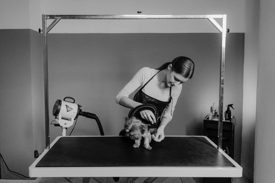 Mesa de peluquería canina hidráulica — foto 1
